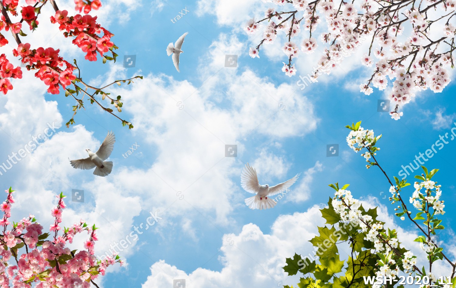 Dán trần trời xanh và hoa WSH-2020_11